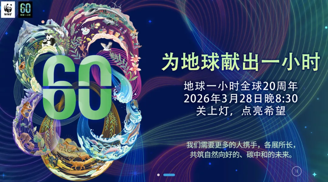 1775804002679805.png 6fe1b6a8-bc36-4d63-96c8-d680830822d5.png